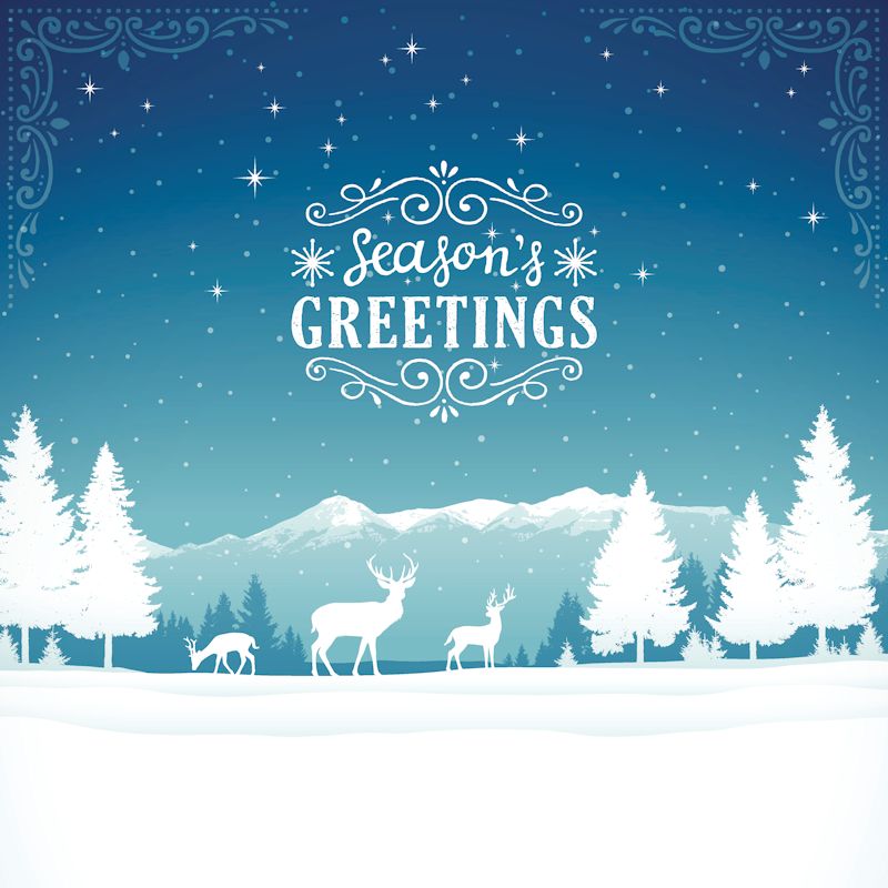 Speak to a member of the Sales Team about our Christmas offering.
